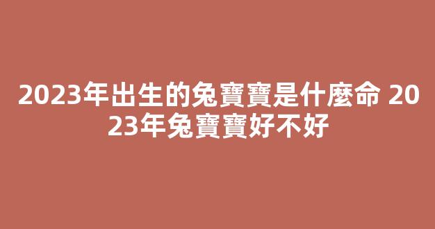 2023年出生的兔寶寶是什麼命 2023年兔寶寶好不好